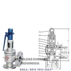 Spring Full Open Closed Safety Valve 1